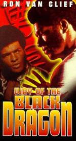 Way of the Black Dragon