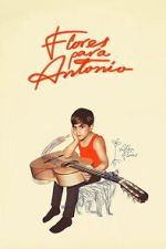 Flores para Antonio