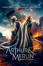 Arthur &amp; Merlin: Knights of Camelot