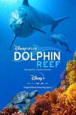 Dolphin Reef