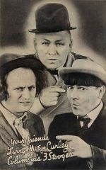 3 Dumb Clucks (Short 1937)