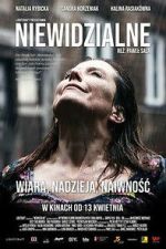 The Invisibles