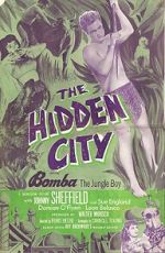 The Hidden City