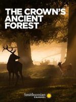 The Crown\'s Ancient Forest