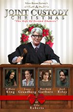 A Joint Custody Christmas